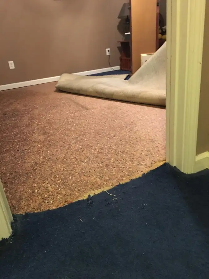 Carpet pad removal revealing water damage during Drying & Dehumidification in Belle Plaine