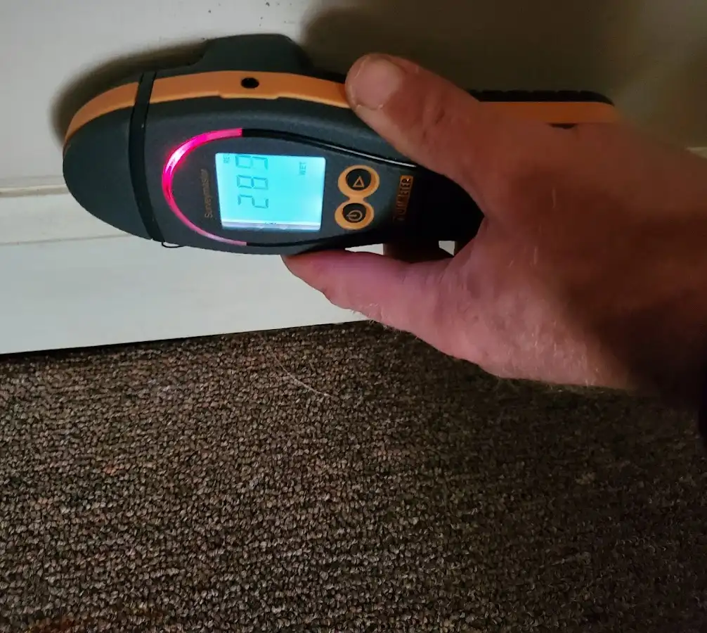 Moisture detection at baseboard during Sewage Cleanup & Sanitation in Belle Plaine